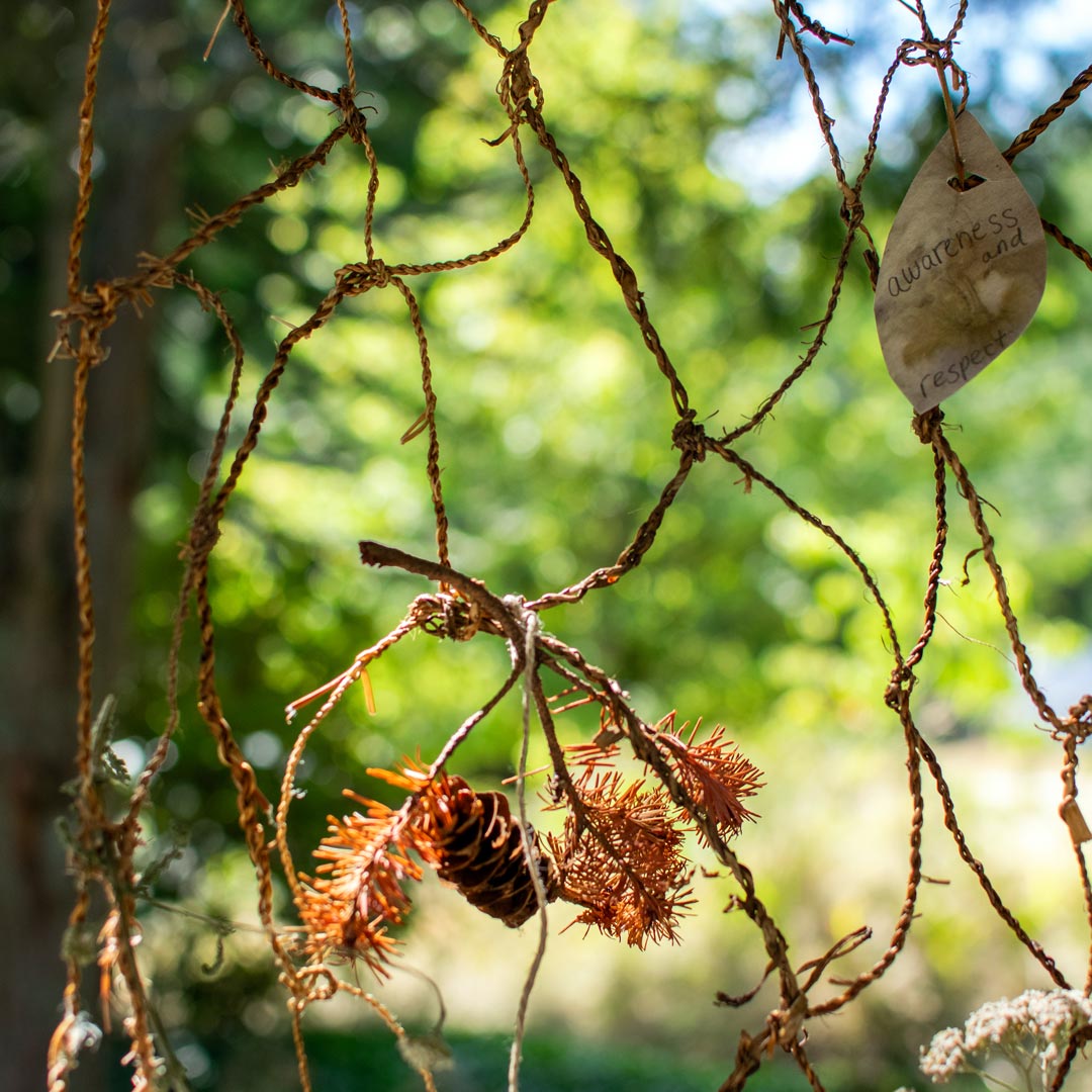 photo:Hackett Park