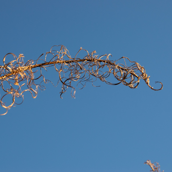 photo by James Meger