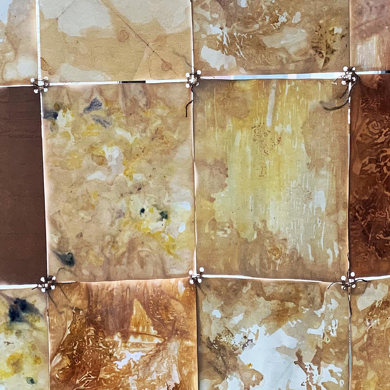 image: eco-dyed fabric