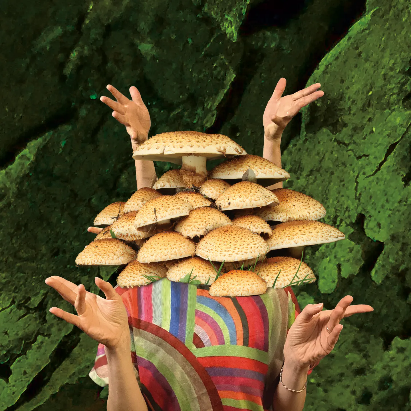 Image from poster for Mycocosm