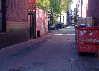 a downtown laneway with dumpsters and no people