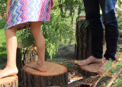 closeup of two people standing on cedar stumps