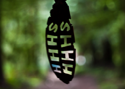closeup of a leaf with 'SHHHHH" cut out