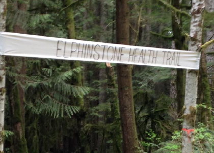 Elphnstone Health Trail sign attached to trees in a forest
