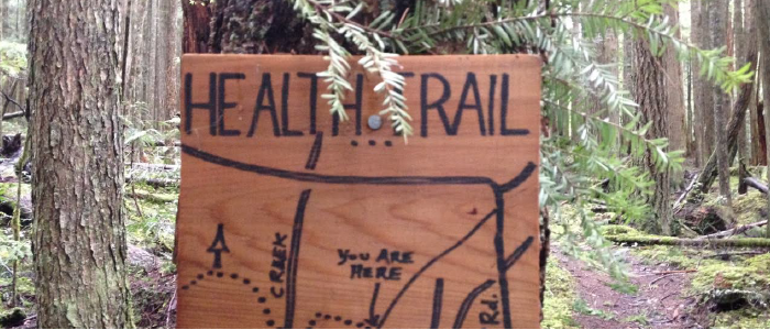closeup of a handmade directional sign in the forest