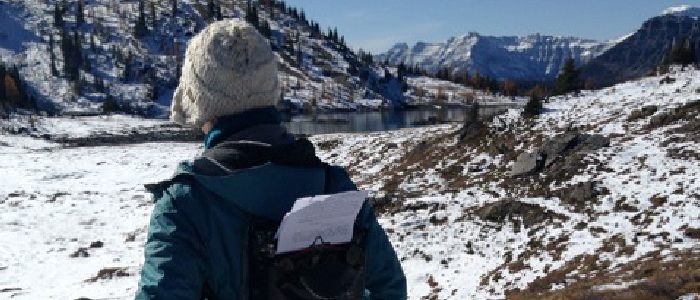 a person wearing a typewriter backpack in the snowy mountains