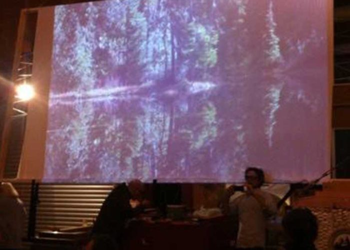 a projected photo of trees and their reflections in the lake