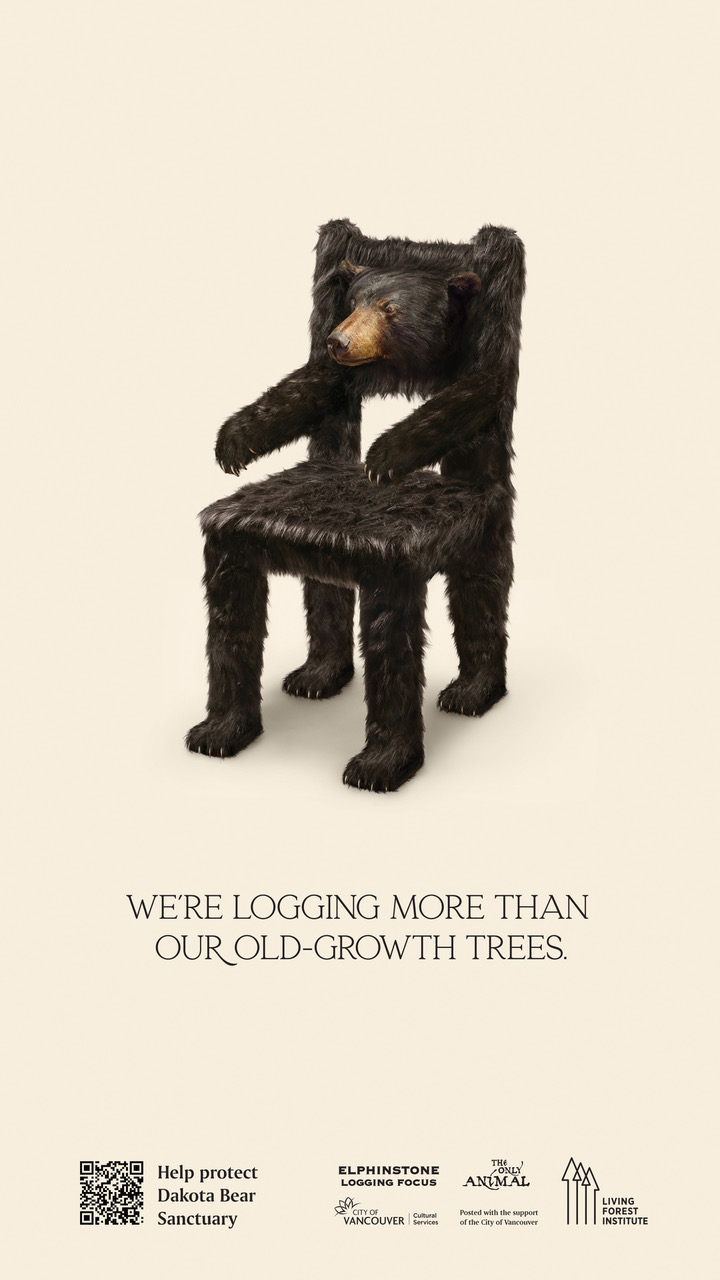 Image of a chair that is covered in dark brown fur with bear paws and feet. There is a bear's head coming out of the backrest. Underneath is the next "We're logging more than our old-growth trees."