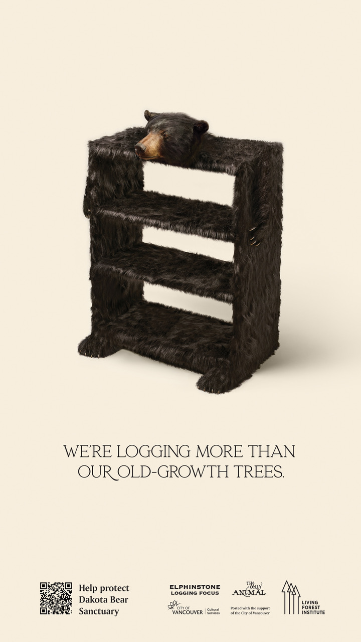 Image of a bookshelf that is covered in fur. A bear head is coming out of the top of it with paws coming out of the sides and bottoms. Underneath is the next "We're logging more than our old-growth trees."