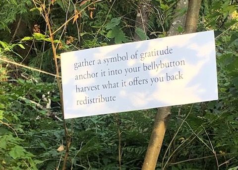 A piece of paper is suspended by rope in the forest. The paper reads: gather a symbol of gratitude, anchor it into your bellybutton, harvest what it offers you back, redistribute. Photo by Maria Angélica Guerrero.