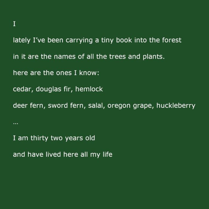 A poem by James King.